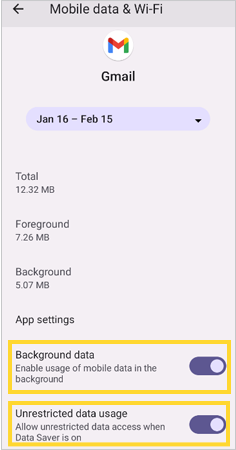 Keep the background data and mobile data turned on