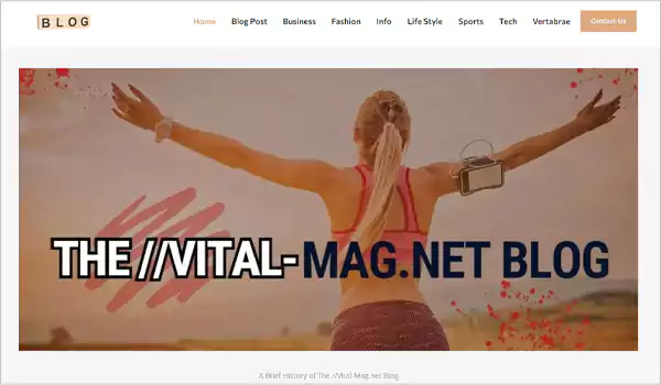 vital mag net blogs