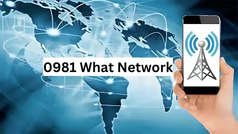 d-0981 What Network